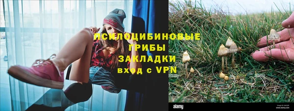 таблы Алзамай