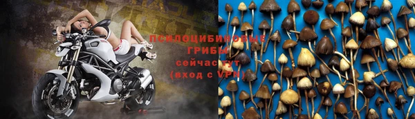 дживик Алексеевка