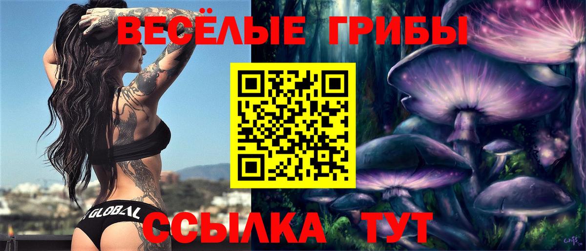 Псилоцибиновые грибы мицелий  Вход с VPN  Псилоцибиновые грибы Magic Shrooms  сколько стоит  Нижний Новгород 